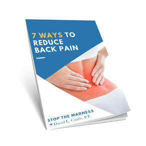 Back Pain | David Curtis | Physical Therapy